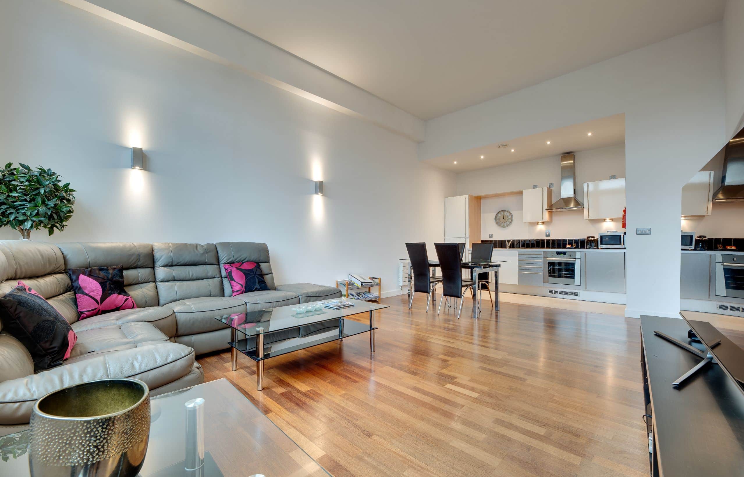 one bedroom apartment with spacious living area