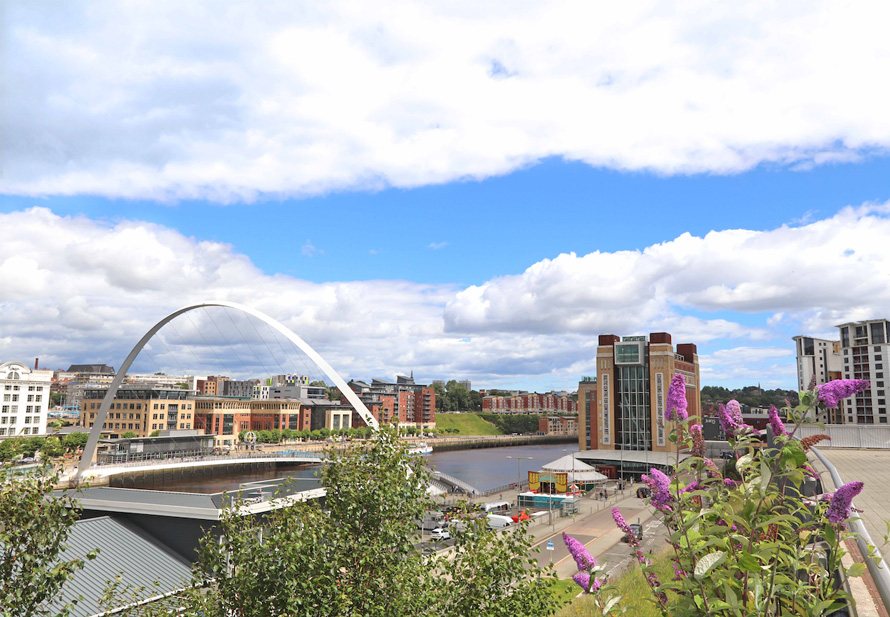 Newcastle Lord 3