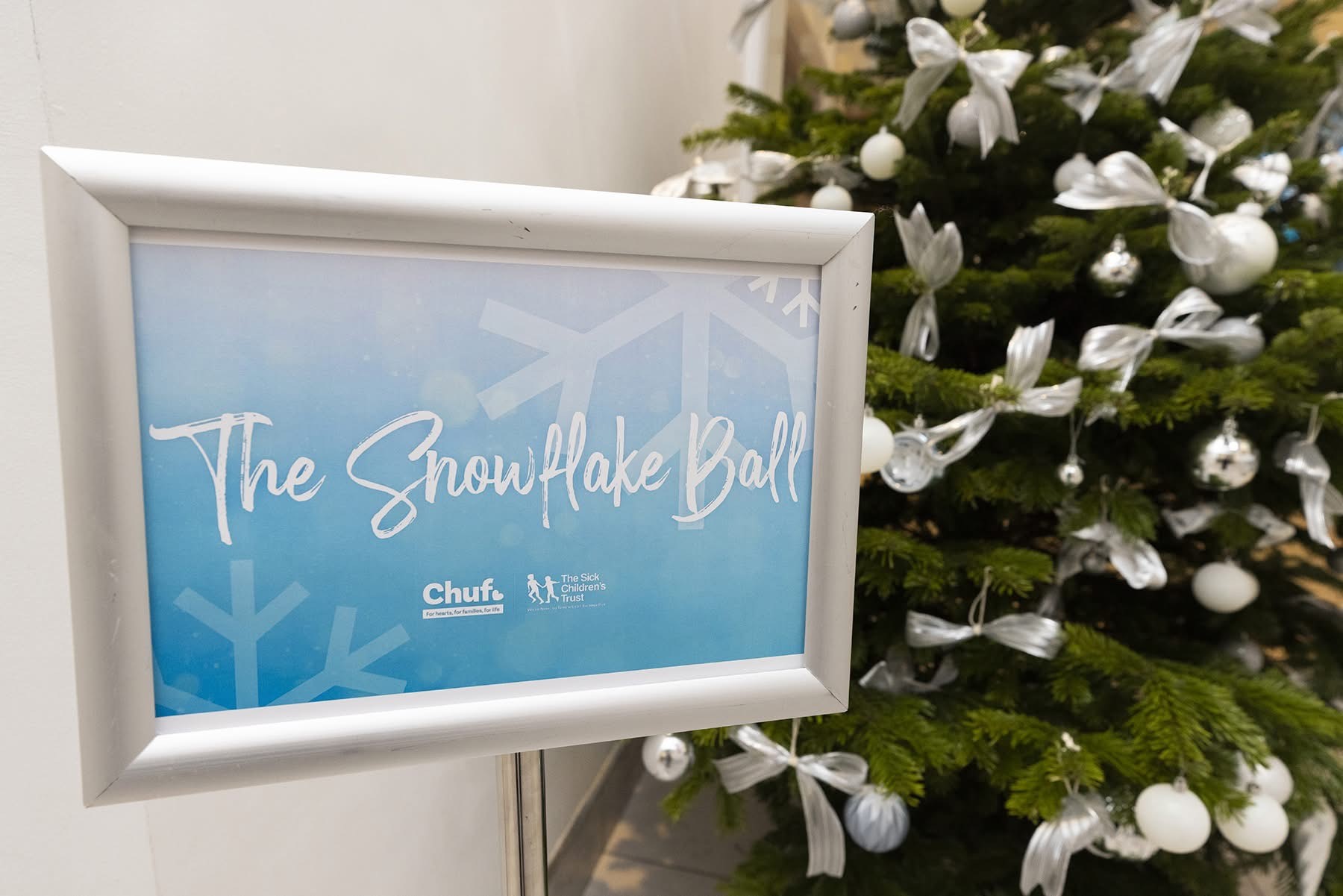 Snowflake Ball
