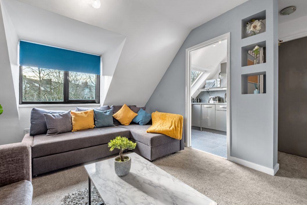 Sandyford Apartment - living room with walk in kitchen area
