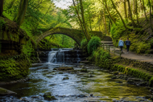Jesmond Dene